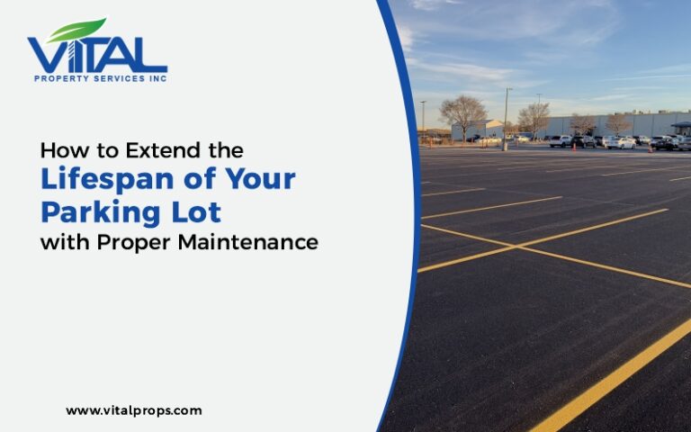 Parking Lot Maintenance