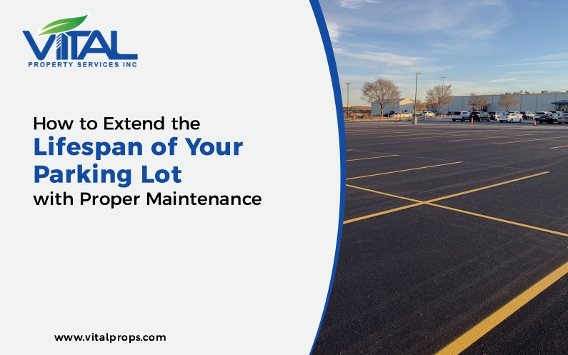 Parking Lot Maintenance