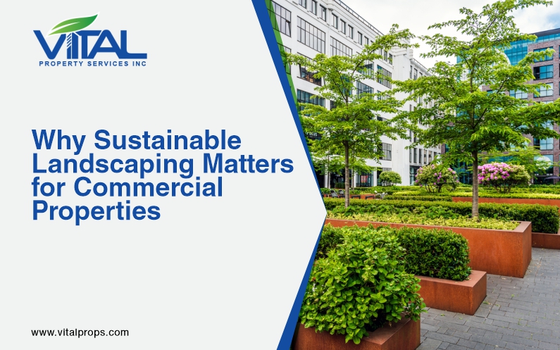 Commercial Landscaping