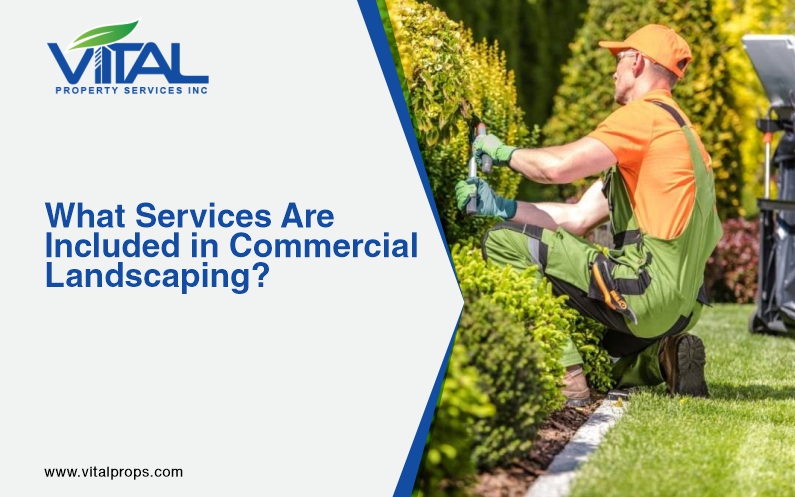 Commercial Landscaping