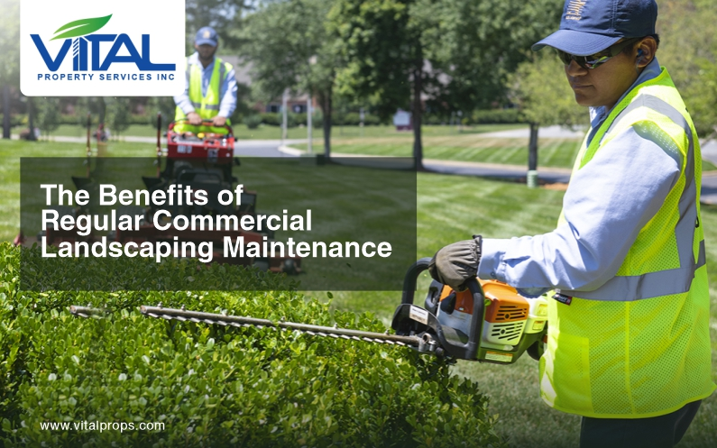 Benefits of Commercial Landscaping Maintenance