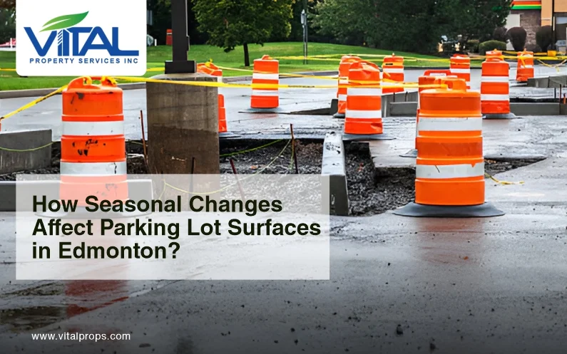 parking lot maintenance service