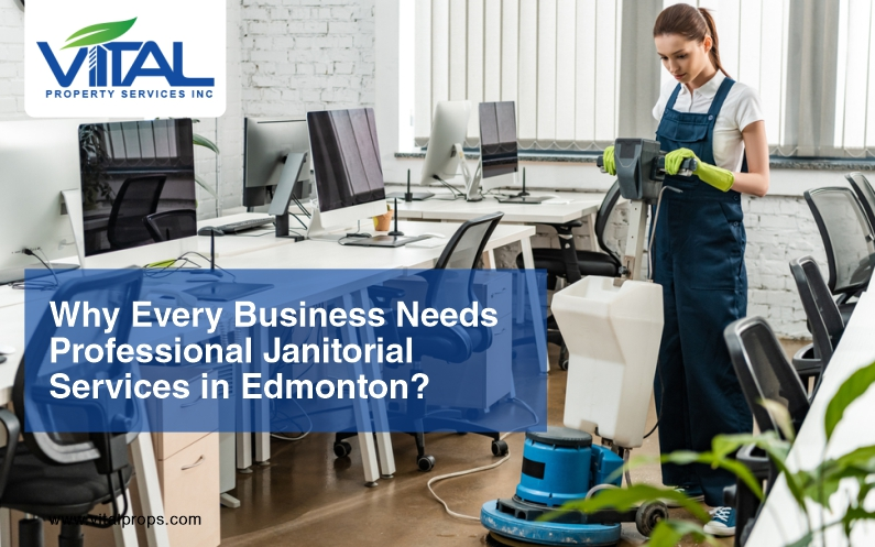 Professional janitorial Services for every businesses