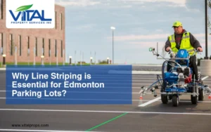 parking lot line striping