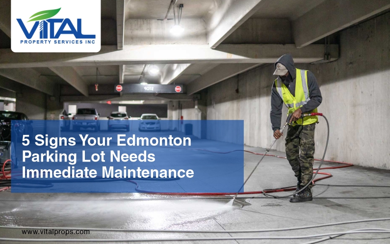 Importance of Regular Parking Lot Inspections