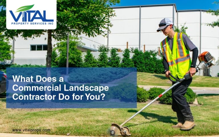 Role of commercial contractor