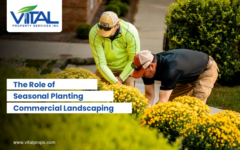 Landscapers Planting Flowers