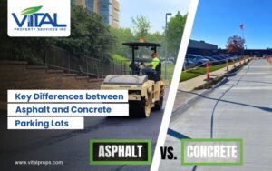 Asphalt vs Concrete Parking Lots