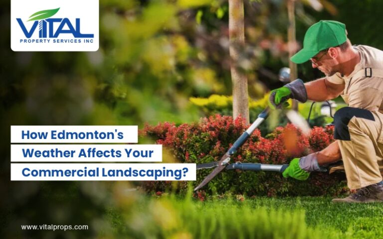 commercial landscaping services Edmonton