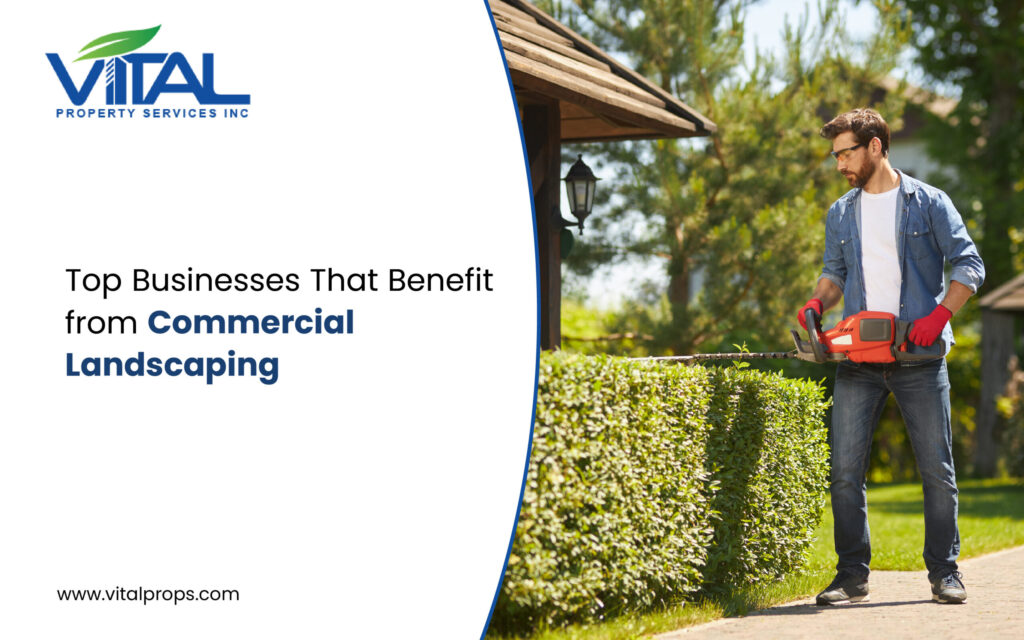 landscaping services for commercial properties