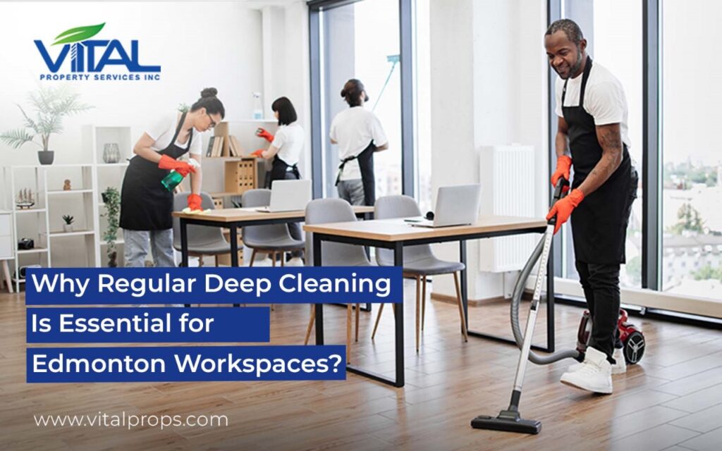 deep cleaning services