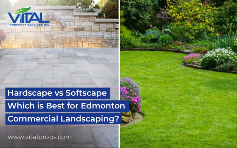 hardscape vs softscape